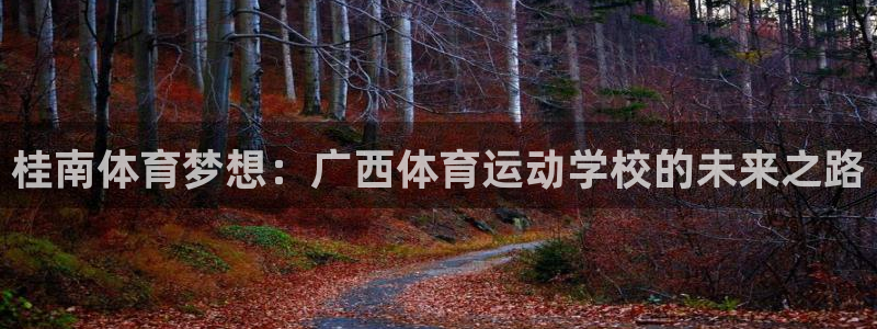 桂南体育梦想：广西体育运动学校的未来之路