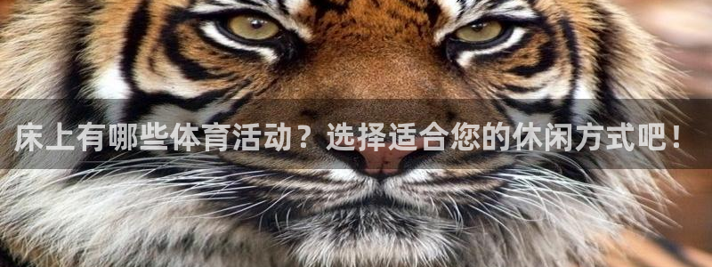 床上有哪些体育活动？选择适合您的休闲方式吧！